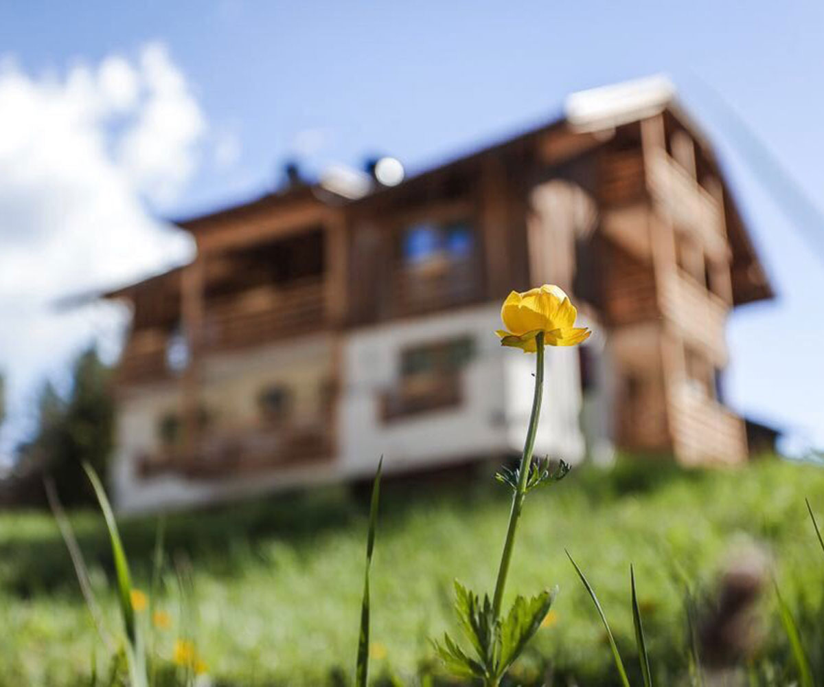 Wood - Appartement Ladinia in St. Kassian in den Südtiroler Dolomiten